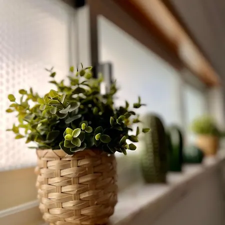 Arte De Marinheiro Holiday home