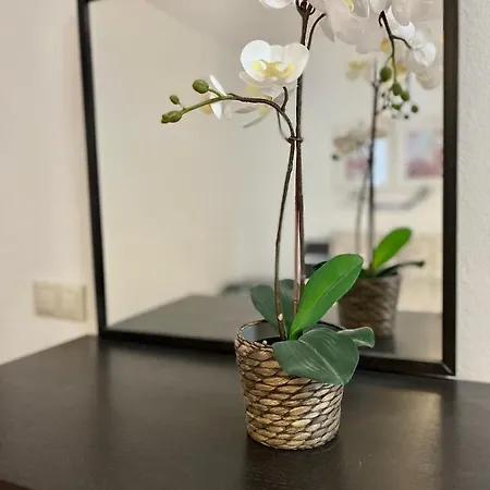 Arte De Marinheiro * Sesimbra